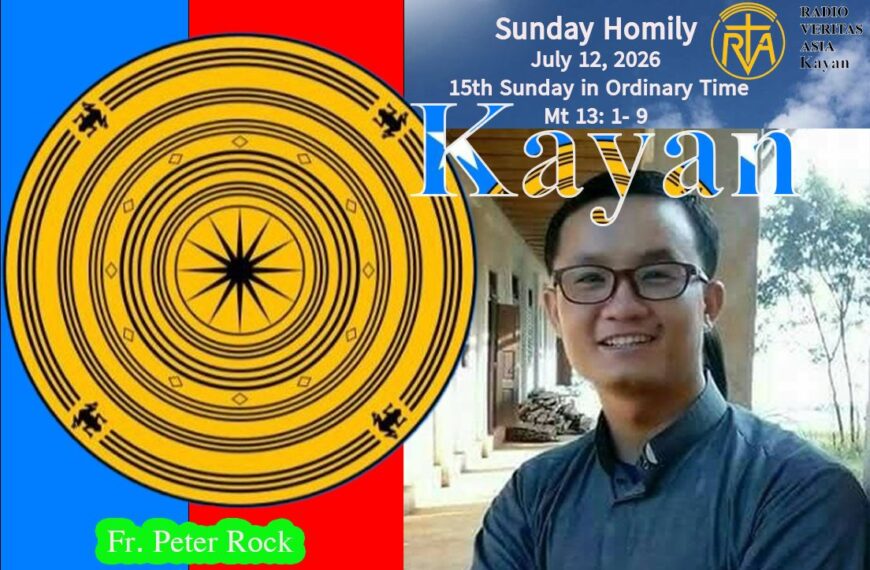 Sunday Homily For July 12,2026