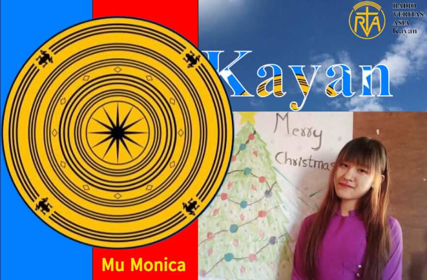 ရေနေသတ္တဝါများ ကြုံတွေ့ရသော အန္တရာယ်များ