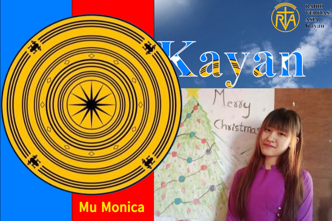 ရေနေသတ္တဝါများ ကြုံတွေ့ရသော အန္တရာယ်များ